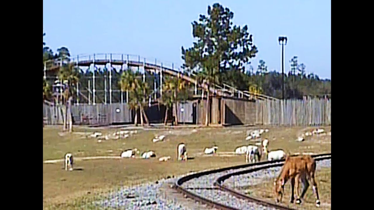 Safari Train (2006 On-Ride POV with Commentary) - Wild Adventures (Valdosta Georgia USA)