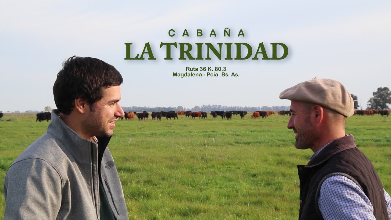 Cabaña La Trinidad, una propuesta Angus para la Cuenca del Salado