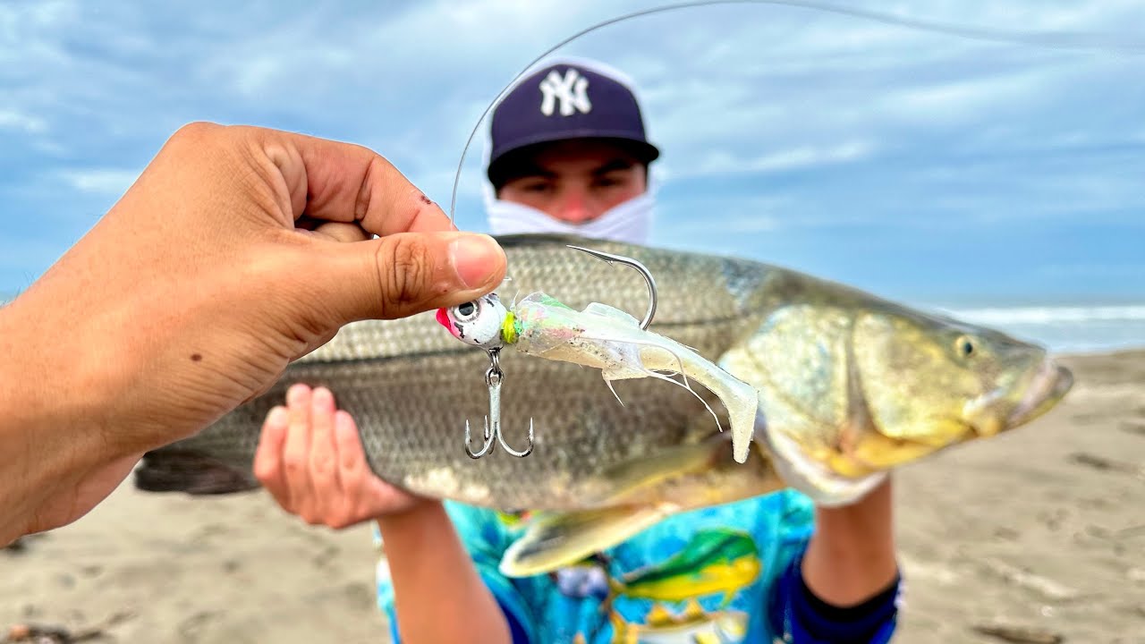 🔥COMO PESCAR RÓBALOS de ORILLA // increíble pesca de róbalo de 8 kilos🔥