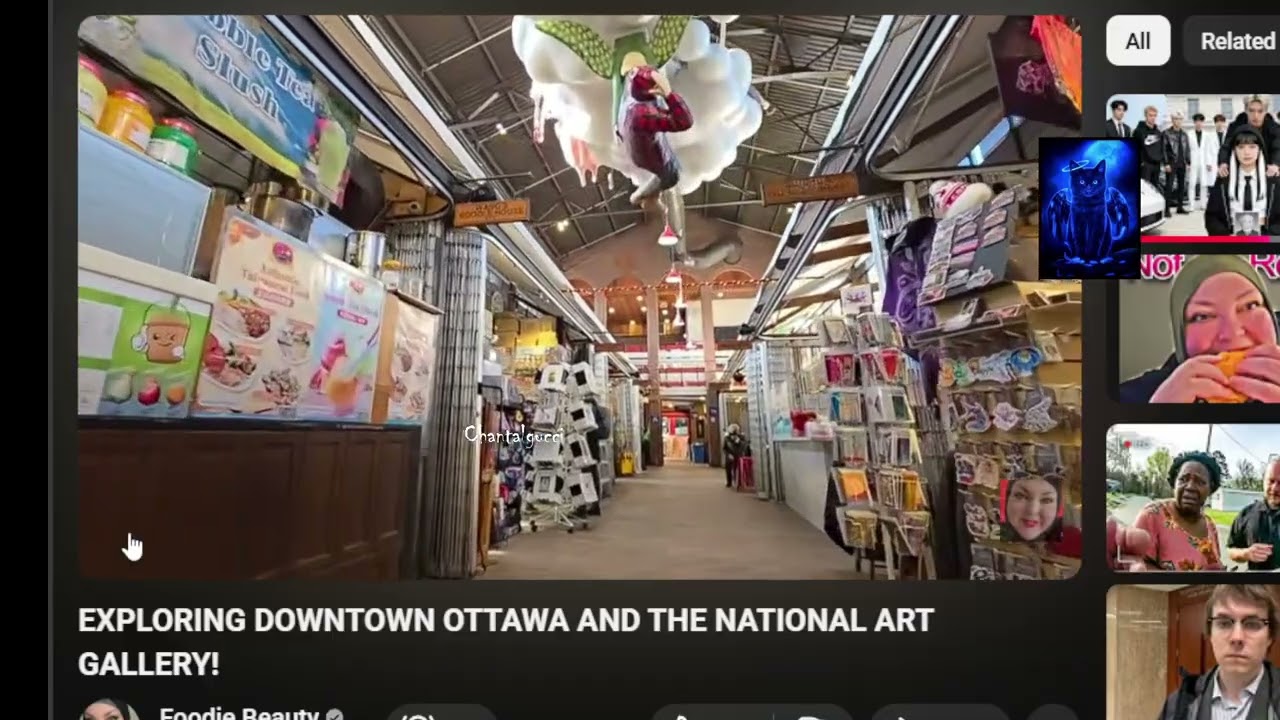 my commentary on fb art galery vlog 2026 03 03 11 52 26