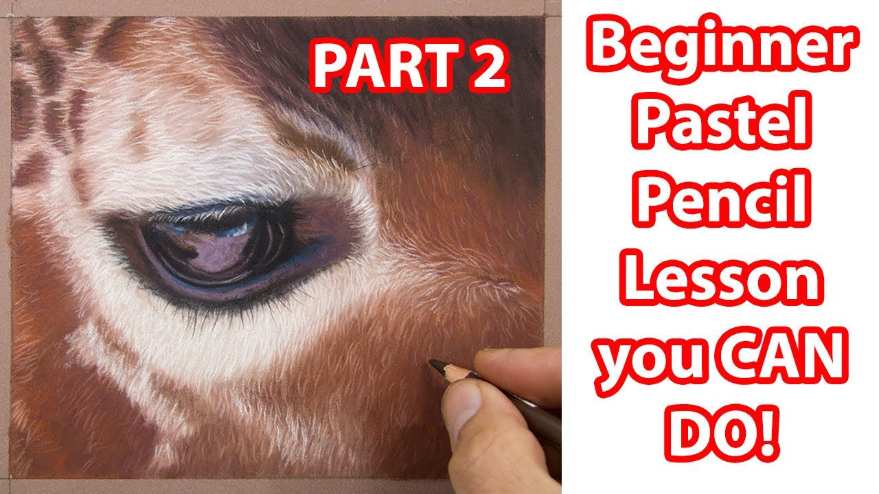 Wildlife Art - FREE Beginners Pastel Pencil Lesson How to draw a Giraffe - Part 2 - Jason Morgan Art
