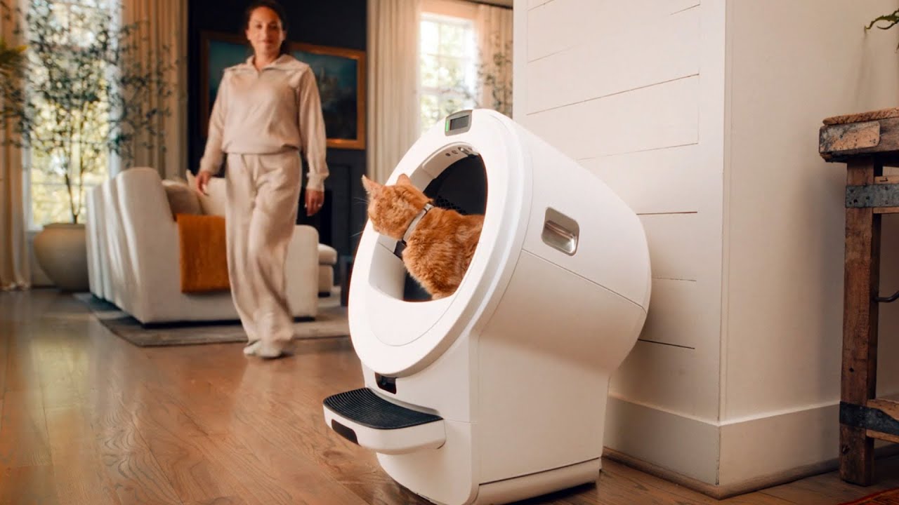 Litter-Robot 5 Pro: туалетный лоток с искусственным интеллектом, который знает, когда ваша кошка ...