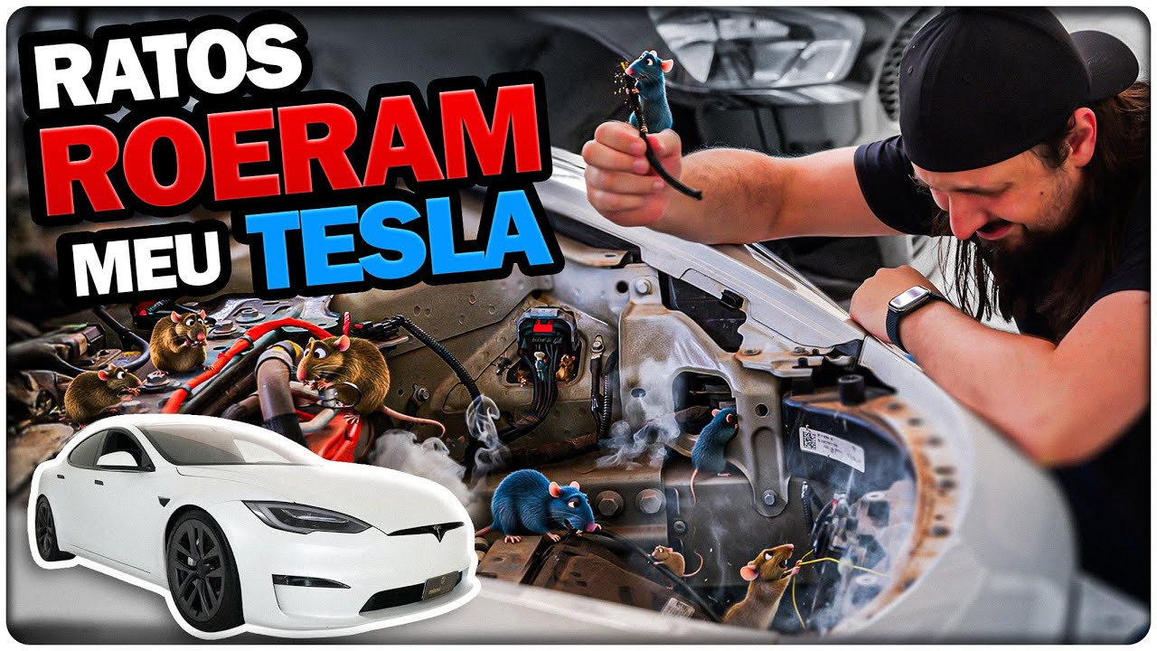 Rats DESTROYED my TESLA!