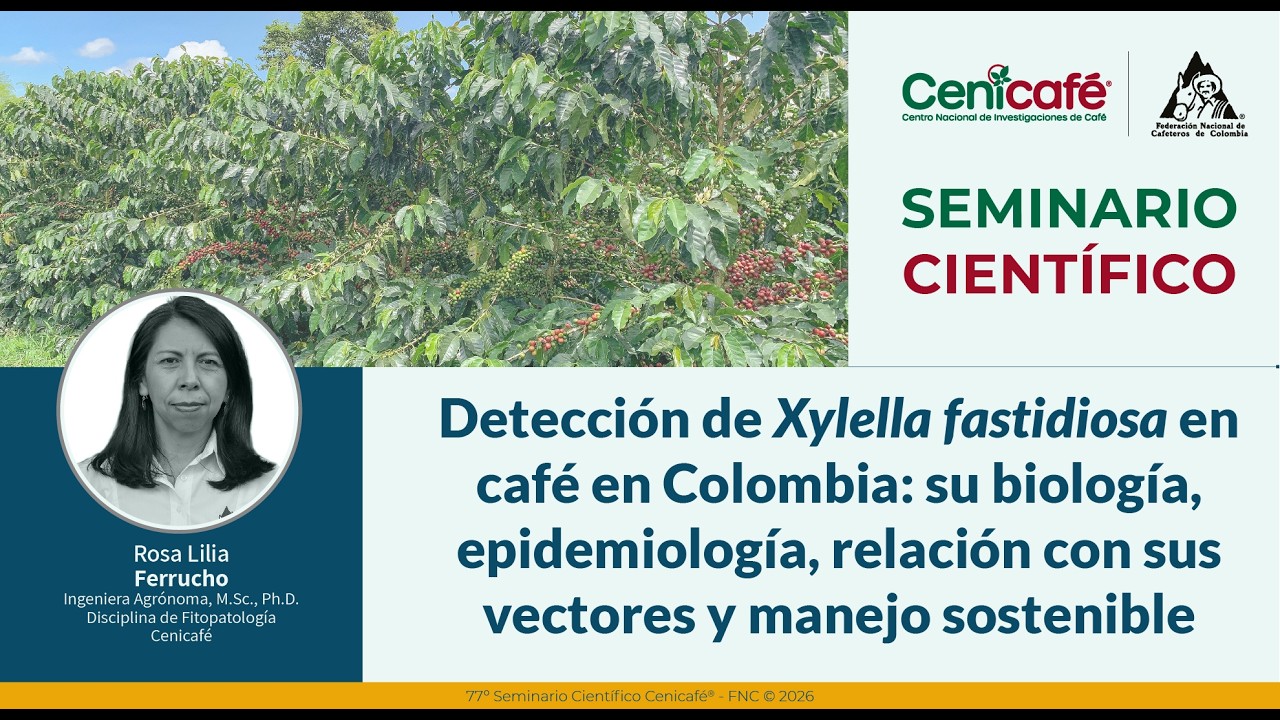 Deteccion de Xylella fastidiosa en cafe en Colombia