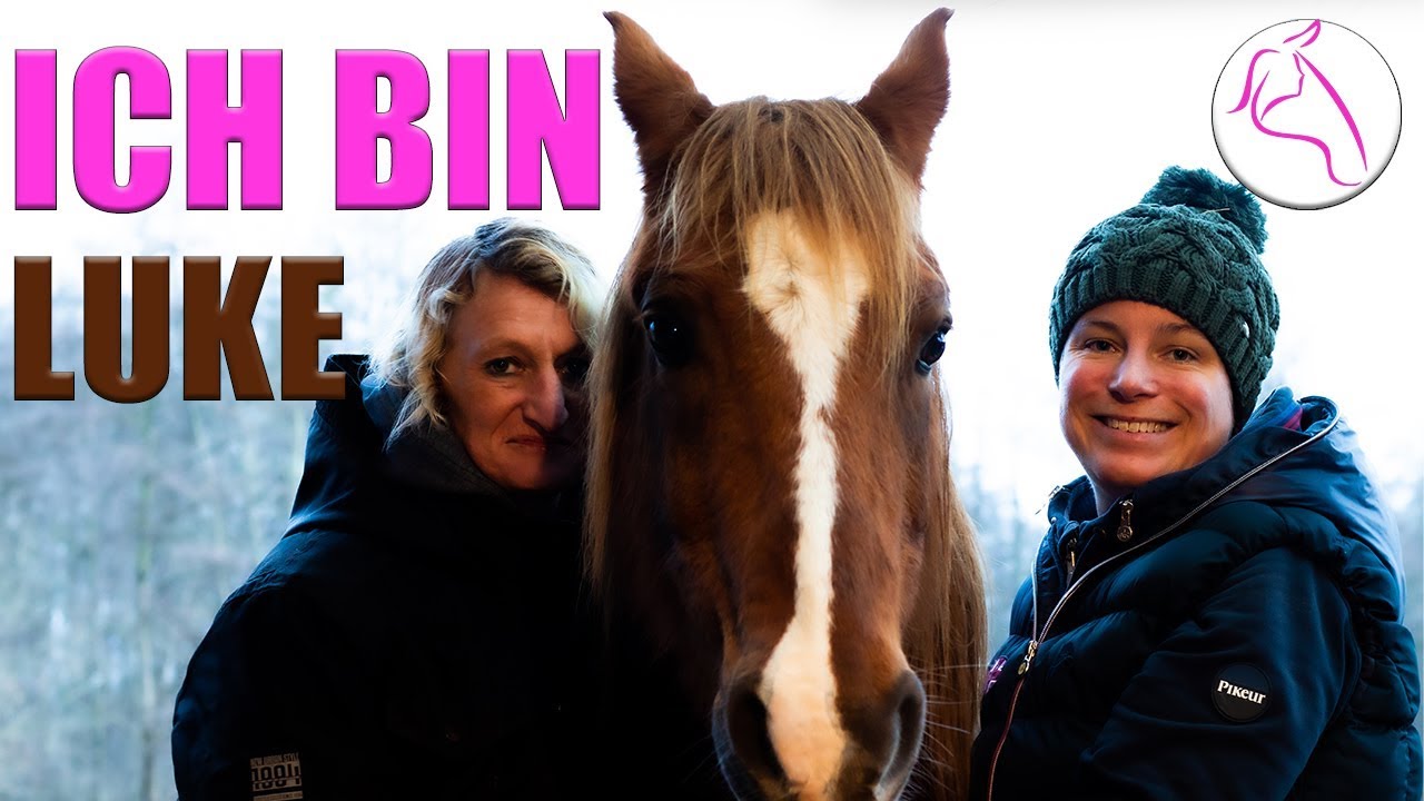Therapiepferd reiten | Hat Luke eine Ausbildung zum Therapiepferd? | Motiviertes Pferd | Interview