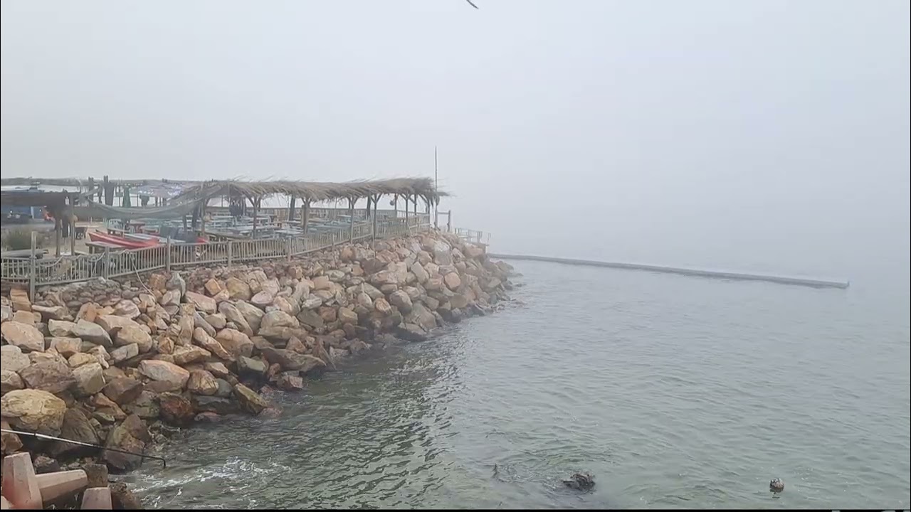 🌫️ The Ocean's Most Mysterious Mood. 8 minutes of relaxation 