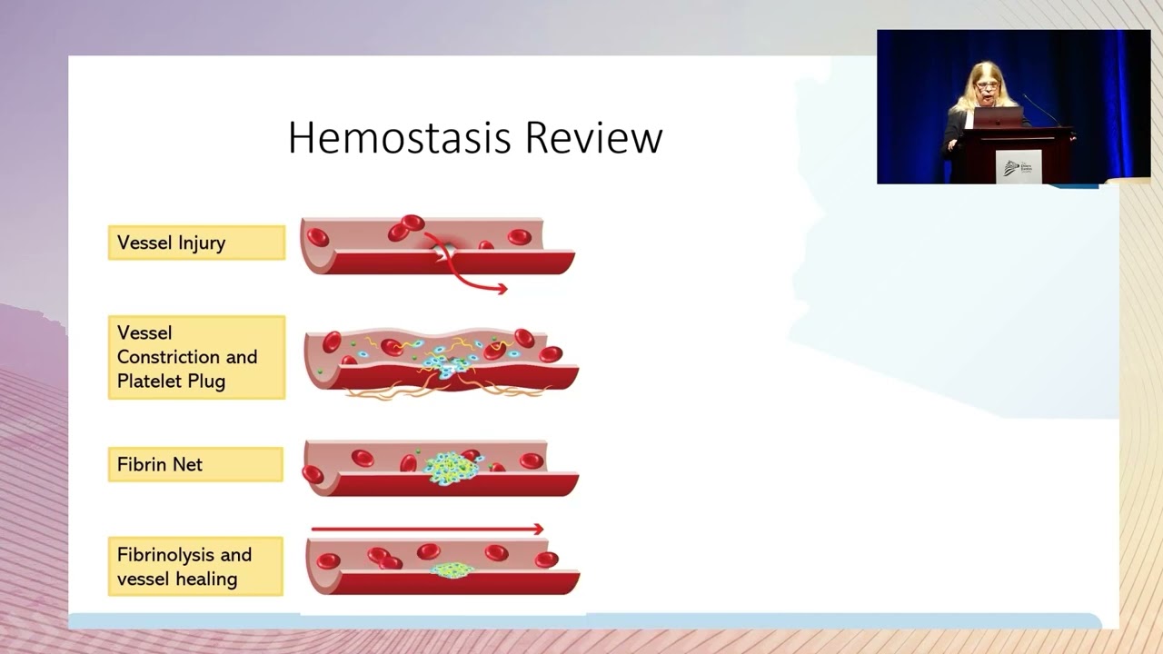 HSD, EDS and Bleeding Disorders - Coincidence or Comorbid? - Dr. Rebecca Schaffer - 2022