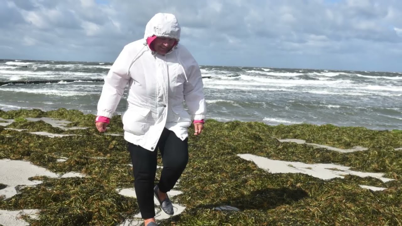 Insel Hiddensee mit Sommersturm, bis zu Windstärke 11, im August 2023. Fährbetrieb wurde eingestellt