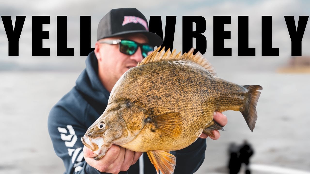 Top 5 Lures for Spring Yellowbelly