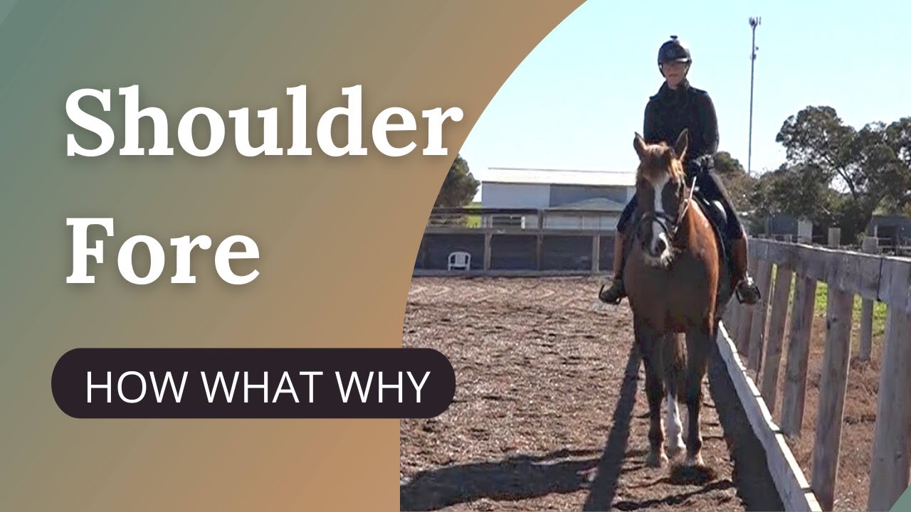 Horse Training - Shoulder Fore How What & Why