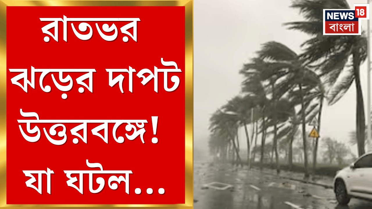 Weather News | ঝড়ের দাপটে উড়েছে বাড়ির চাল, Siliguri-তে দুর্ঘটনাস্থলে মেয়র | Bangla News