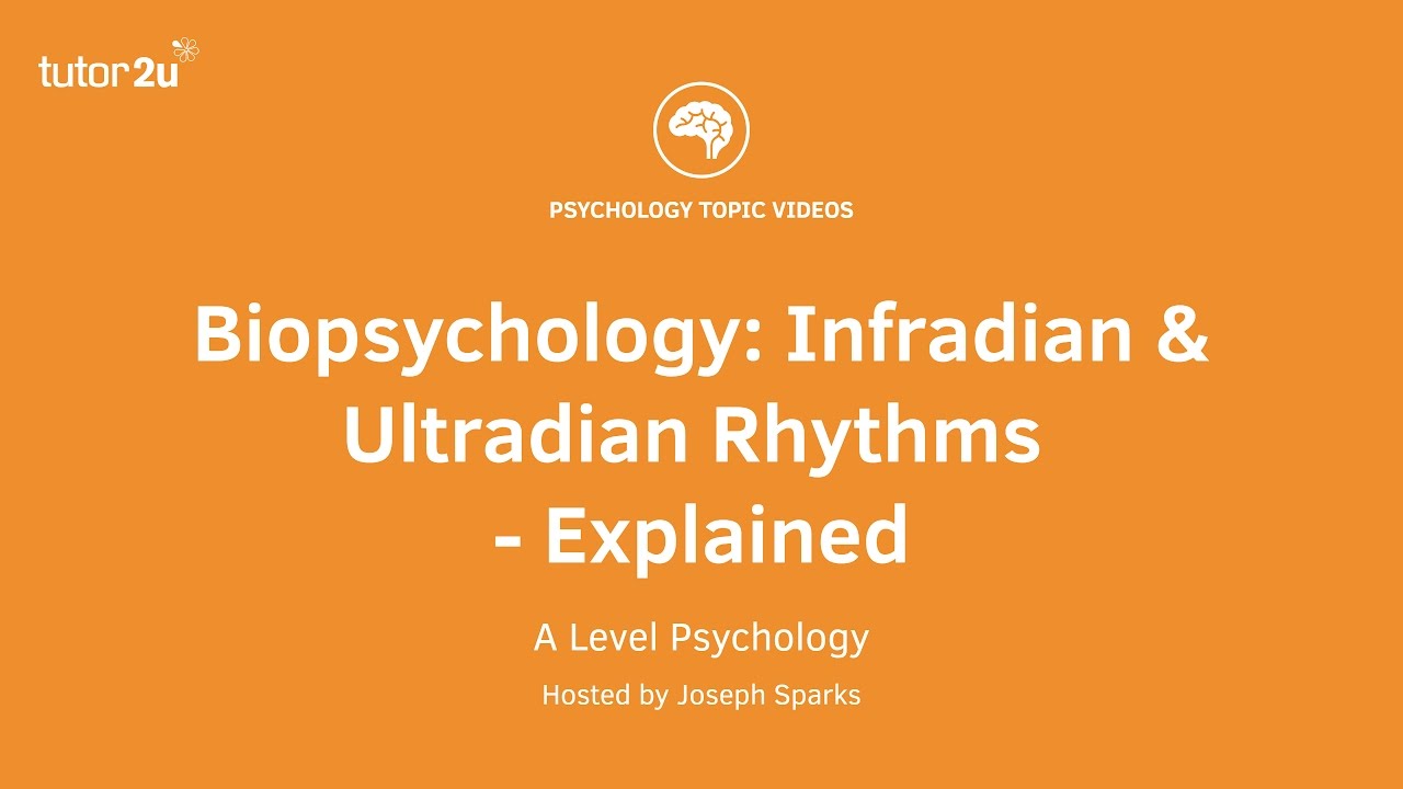 Biopsychology: Infradian and Ultradian Rhythms Explained