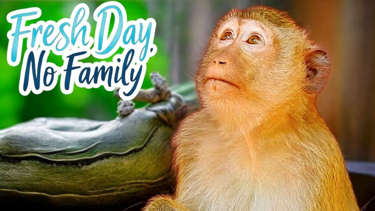 RAINBOW&rsquo;s Solo Journey: A Peaceful Yet Emotional Day Without Family