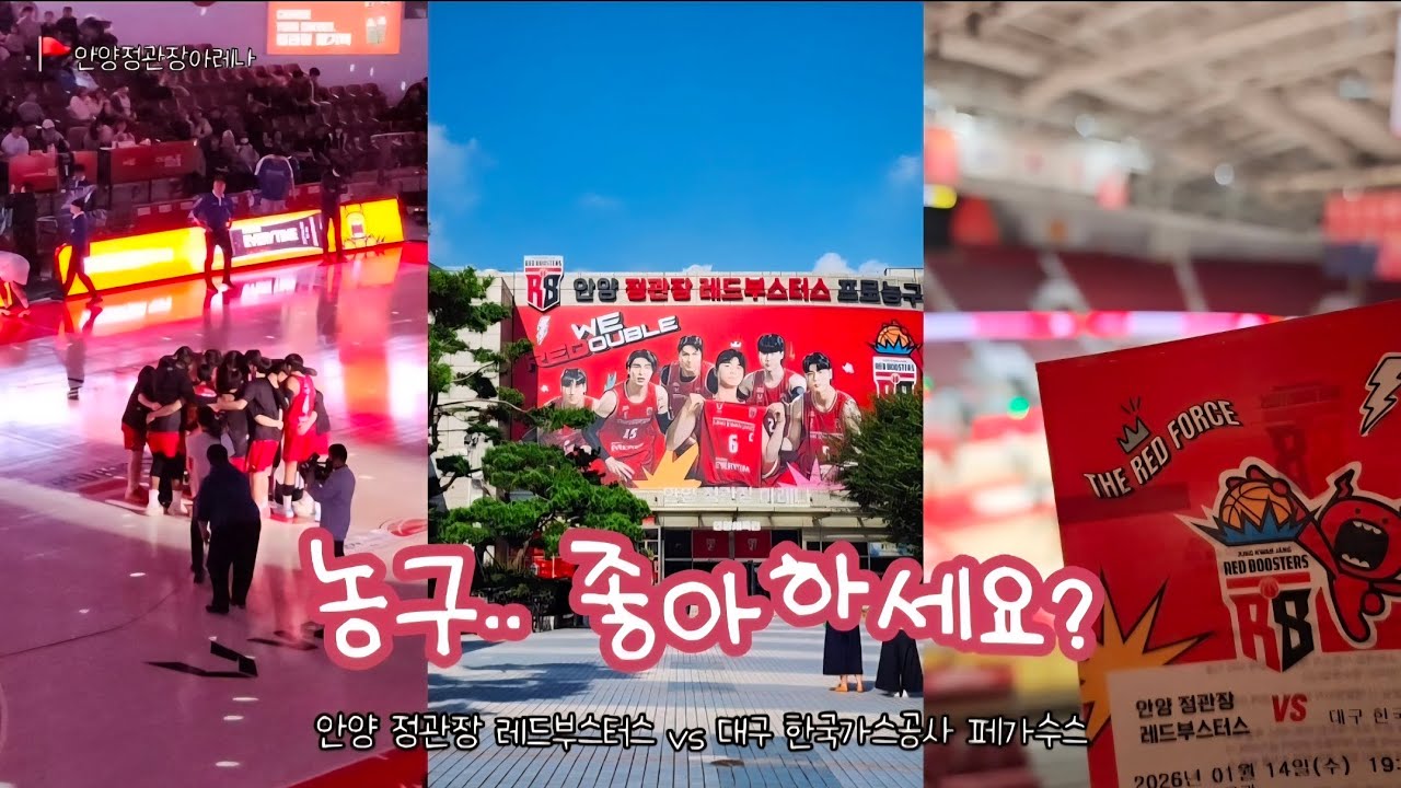 [농구 직관 브이로그] 안양 정관장 레드부스터스 vs 대구 한국가스공사 페가수스 짱삼이가 되. 