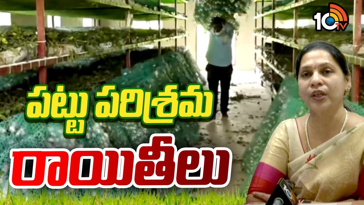 పట్టు పరిశ్రమ రాయితీలు |  Govt Subsidy And Loans For Silkworm Sericulture | Matti Manishi | 10TV