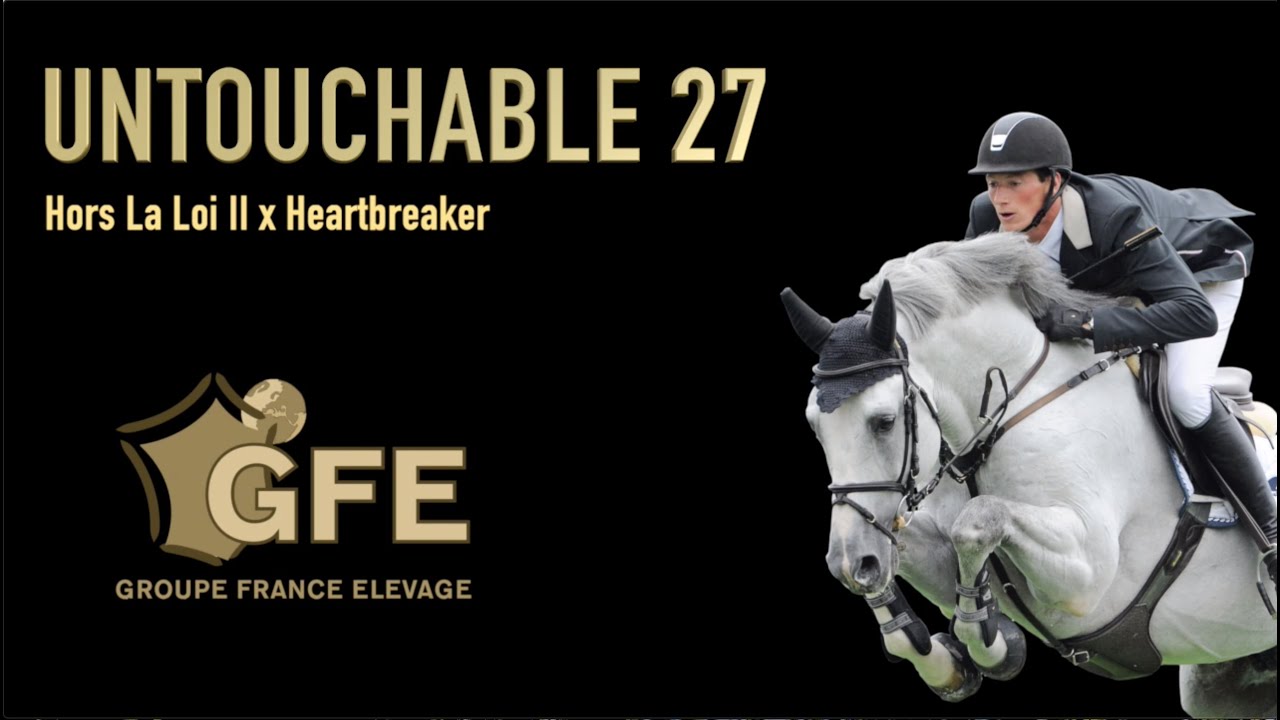 Untouchable 27 - 2020