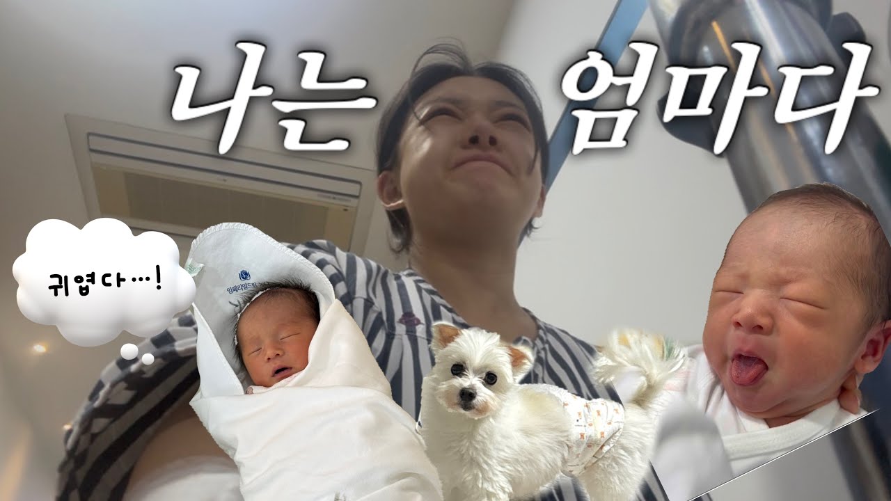 [VLOG] 제왕절개의 후폭풍 ?! (제왕절개출산의 고통,엄마가되는길,입원브이로그..그리고 조리원천국 도착 ?!) 