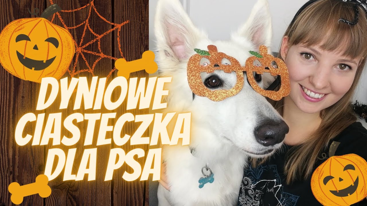 🎃 Przepis na PYSZNE CIASTECZKA DYNIOWE dla PSA 🎃