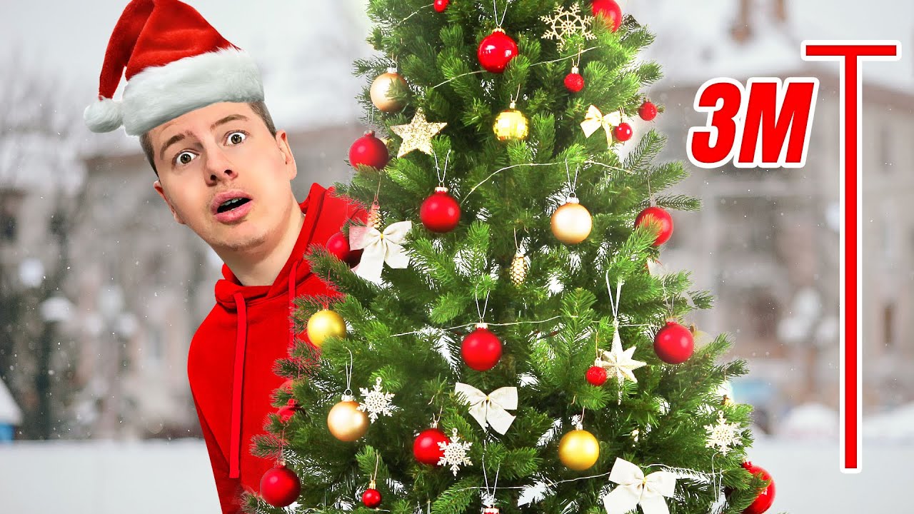 KUPIO SAM NAJVEĆU JELKU !