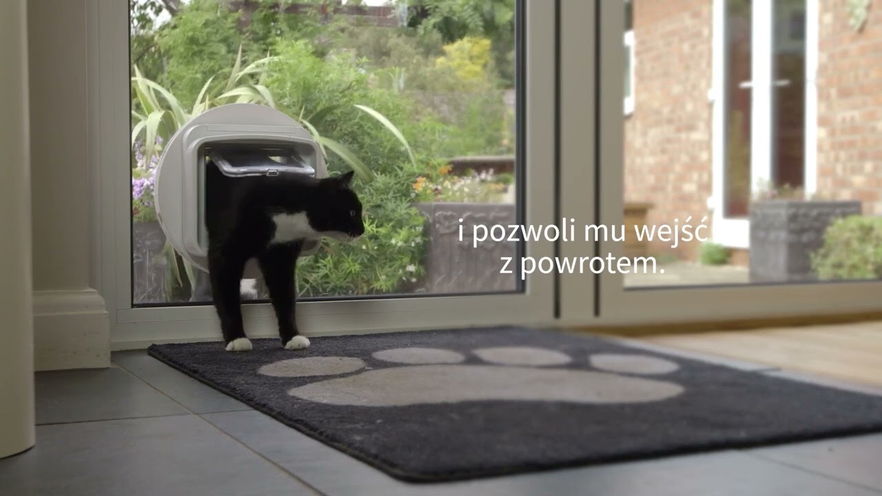 Drzwiczki dla kota microchip DualScan SureFlap® - PL