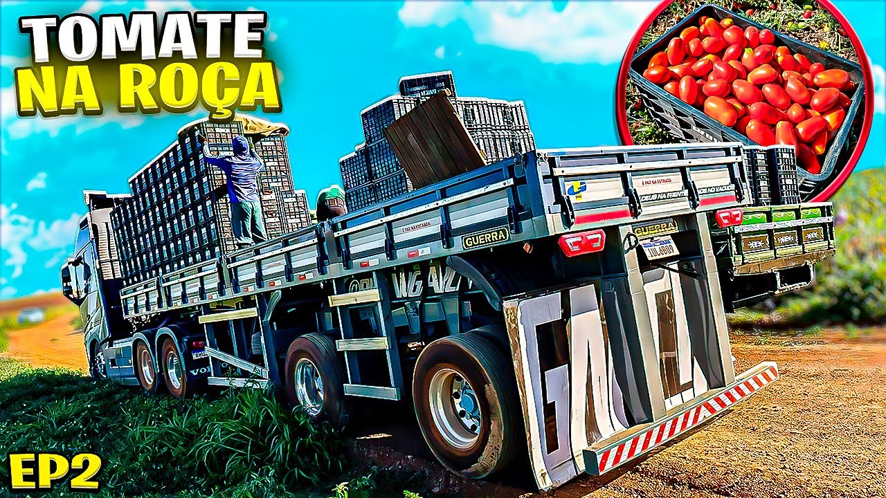 CARREGANDO TOMATE NA RO&Ccedil;A COM O ROBOCOP 😱 CEASA PORTO&nbsp;ALEGRE EP2