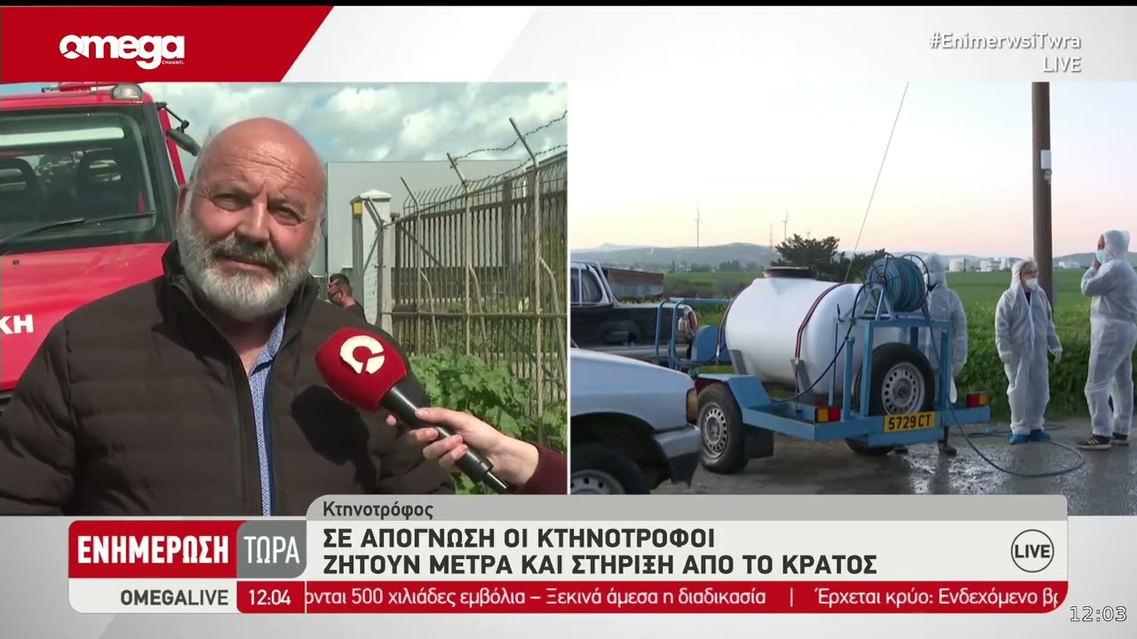 11 κρούσματα αφθώδους πυρετού στη Λάρνακα - Οδηγούνται σε θανάτωση 13.000 ζώα