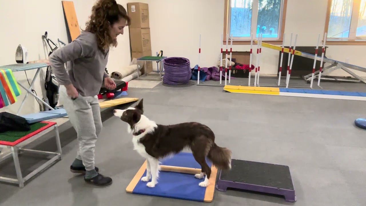 Feb 1st, a few easy exercises, whole session. 