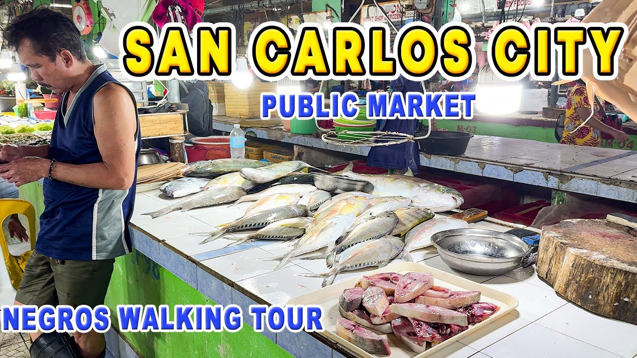 SAN CARLOS CITY Negros Occidental Public Market Walking Tour 2024