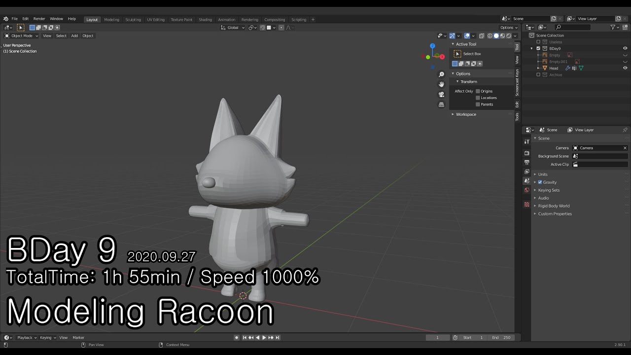 BDay9: Modeling Racoon