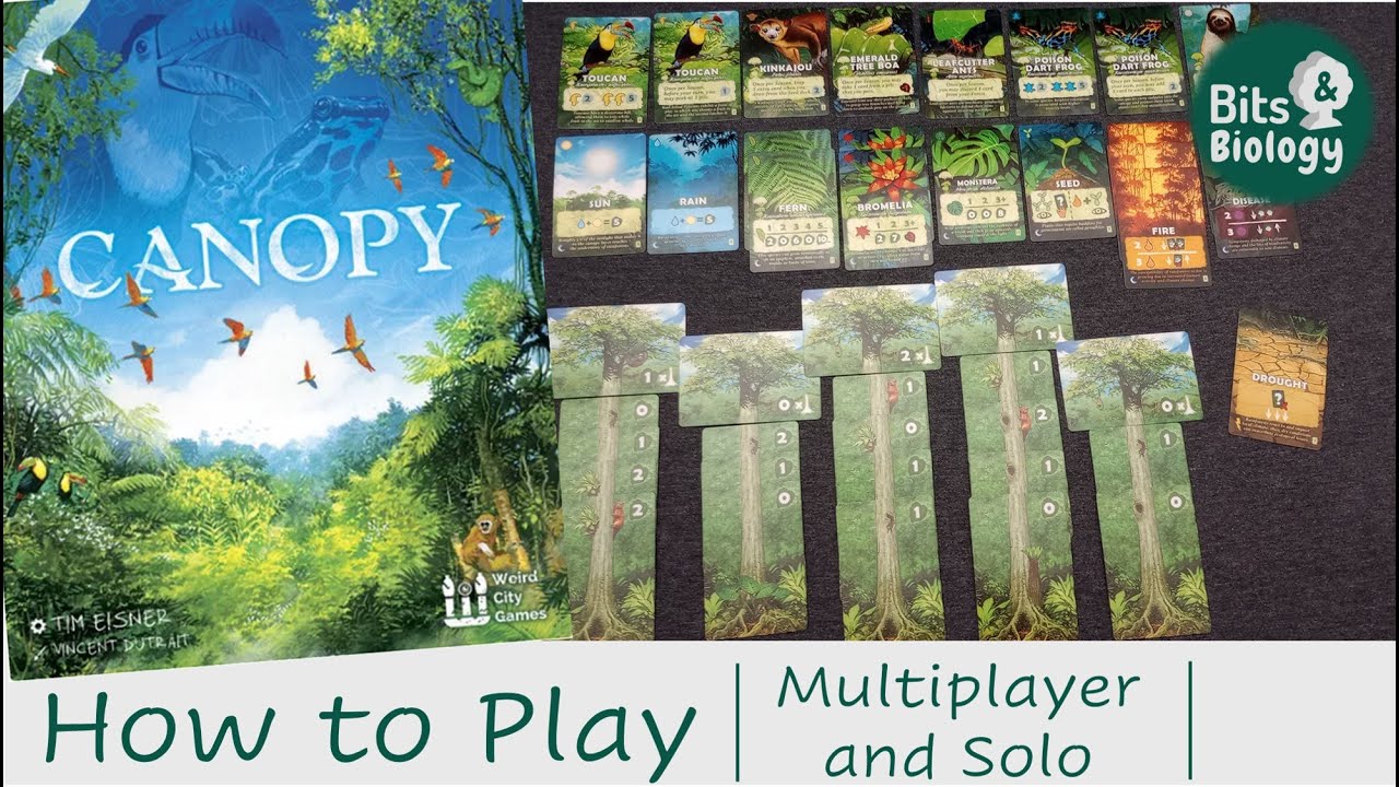 Canopy How to Play | Multiplayer and Solo Rules | Bits & Biology