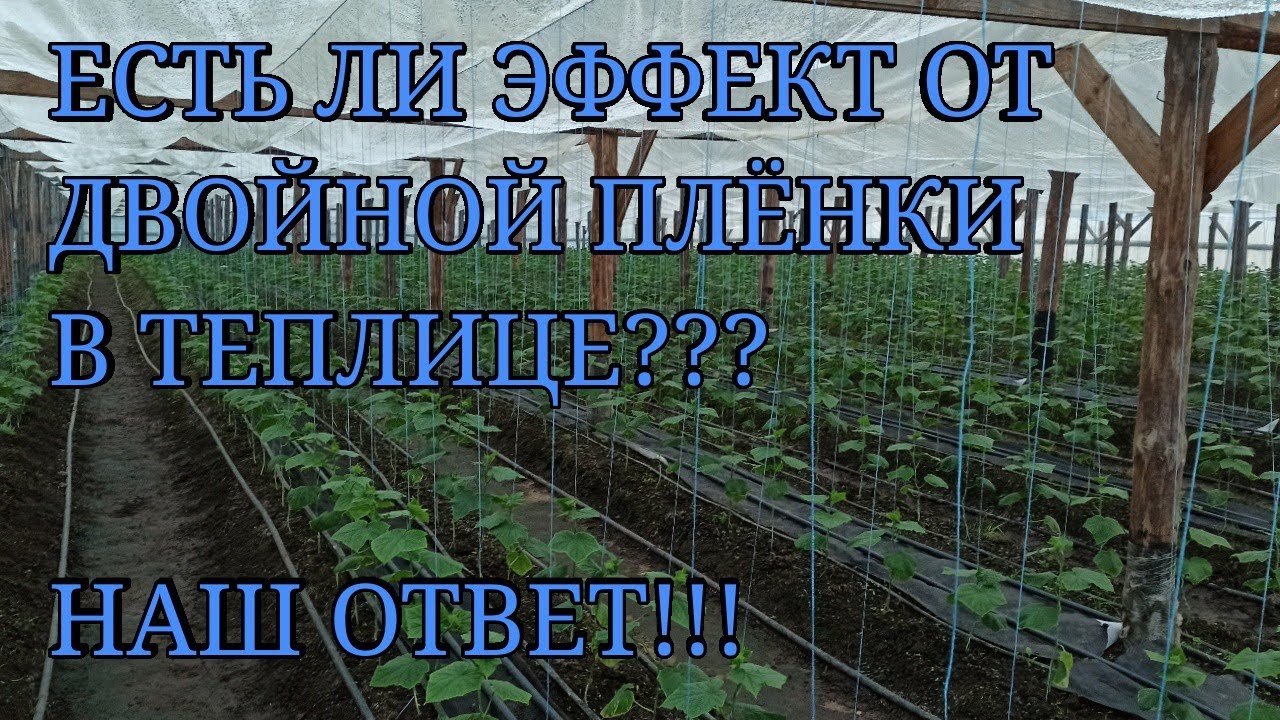 Двойная плёнка в большой теплице,есть ли ЭФФЕКТ??