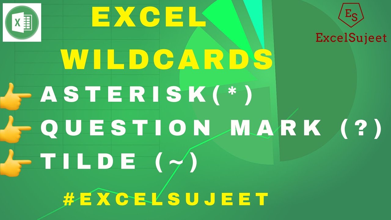 Wildcards in Excel By ExcelSujeet (In Hindi)