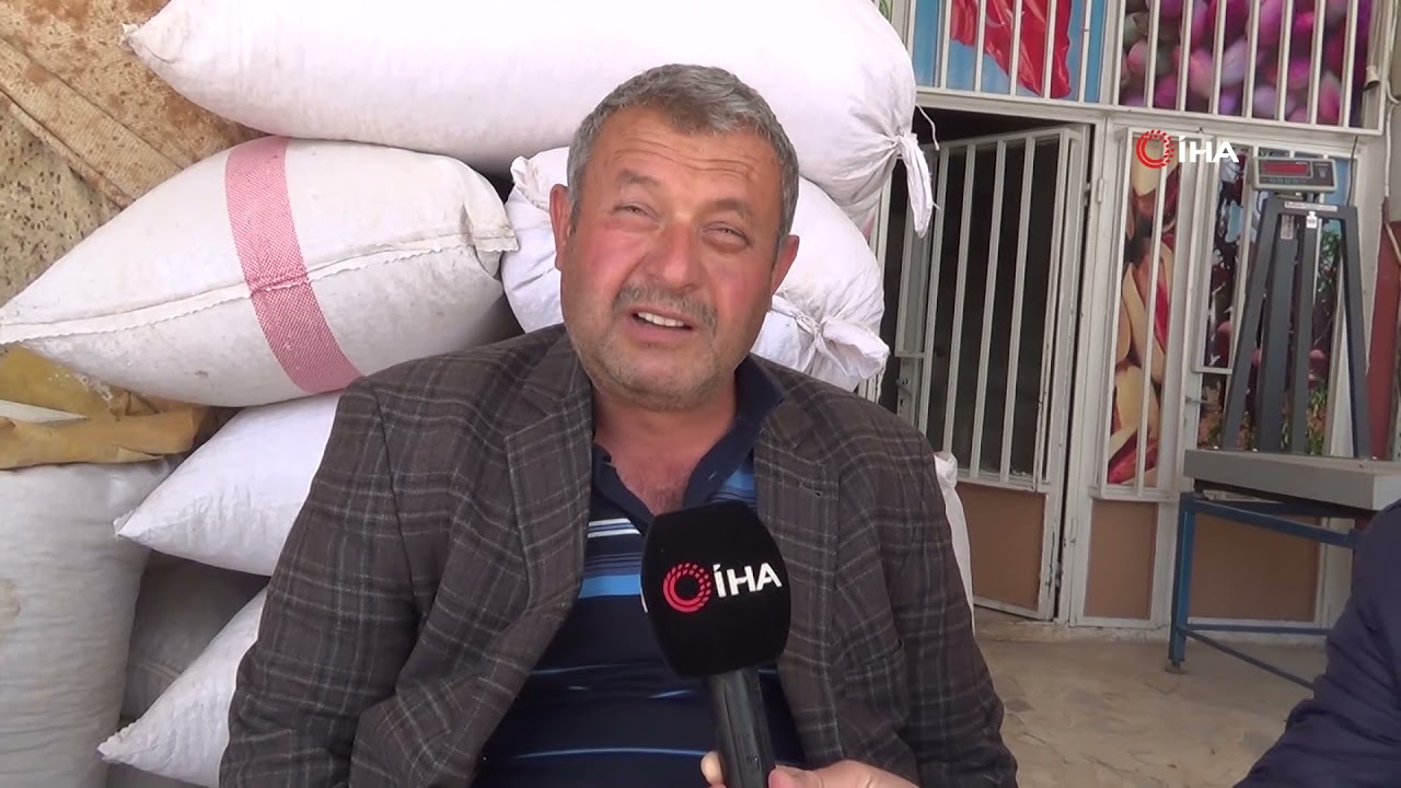 ANTEP FISTIĞINDA FİYATLAR DÜŞÜYOR