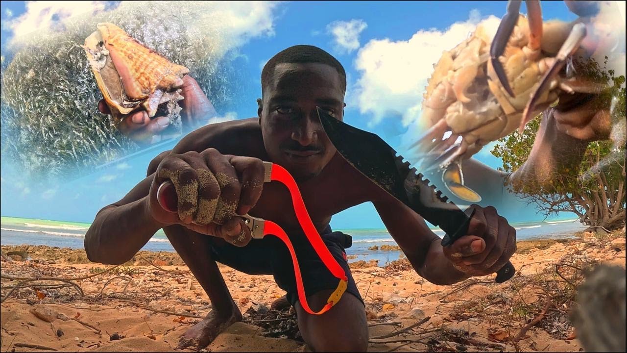 2 days solo survival camping eat what I catch