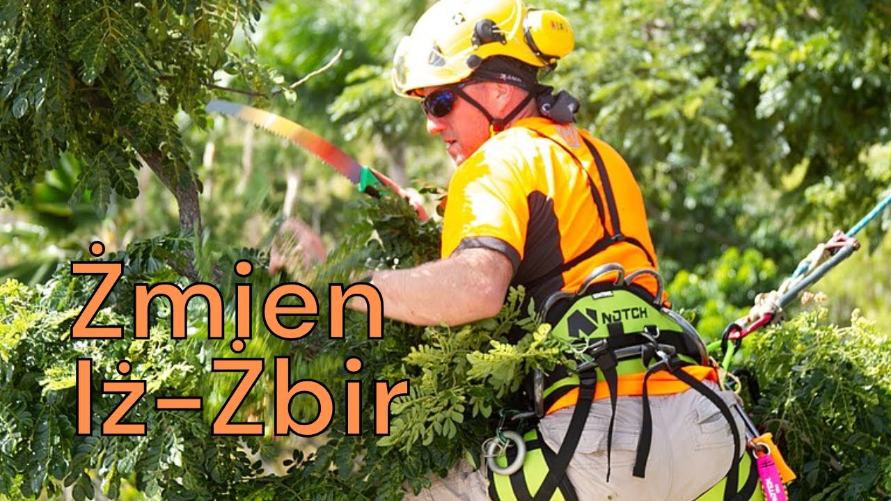 Żmien Iż Żbir