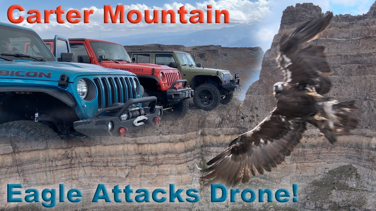 Episode 11: Adventures on Carter Mountain - Eagle Attacks Drone! 8-28-21