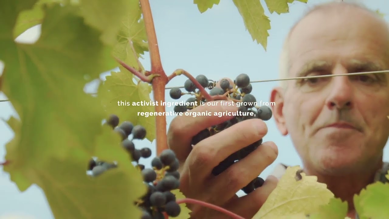 Davines We Stand/for Regeneration – Our manifesto for climate change