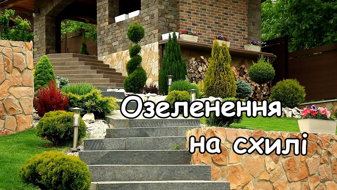 Озеленення на схилі. Клумби з мінімальним доглядом