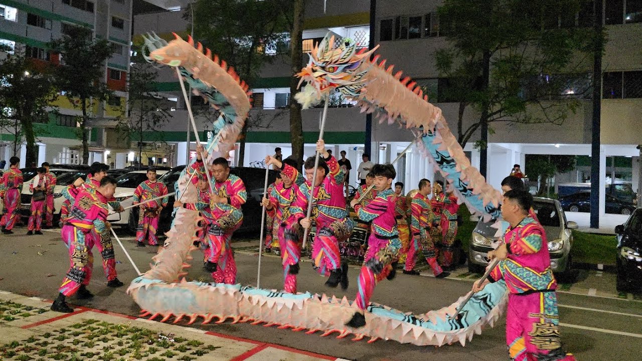 新加坡威勇體育會 Singapore Wei Yong Big Flag, Dragon & Lion Dance Performances 18/08/25