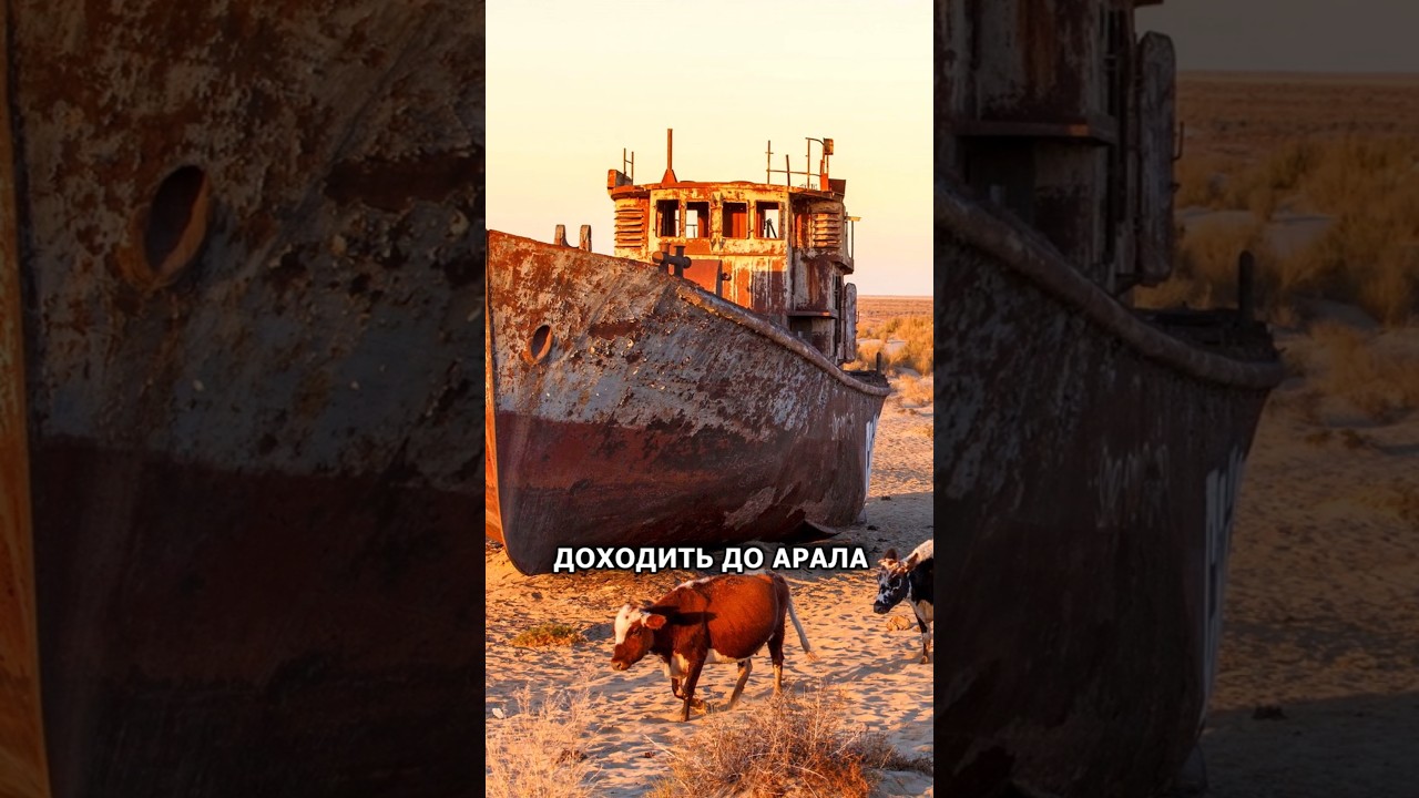 Поворот сибирских рек на юг в Среднюю Азию  #история #history #факты #ссср