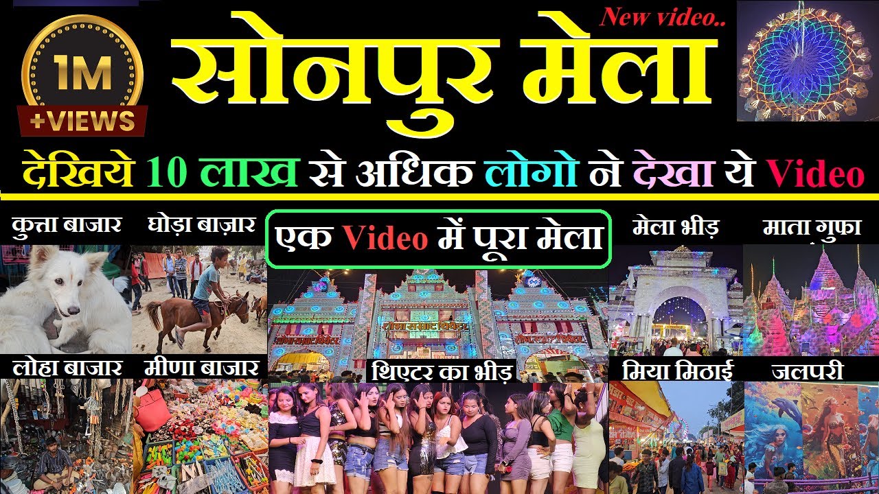 Sonpur mela 2024 video | घूमिये पूरा सोनपुर मेला | Dog market | horse market | theater video 2025