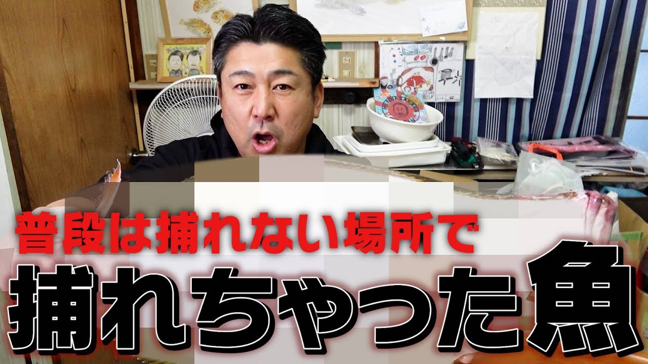 【オホーツク海で獲れた○○！！】ムニエルとカルパッチョが想像以上のおいしさだった
