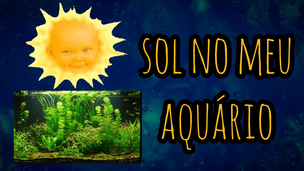 Meu aquário fica dmais no sol - Aqua Gama 