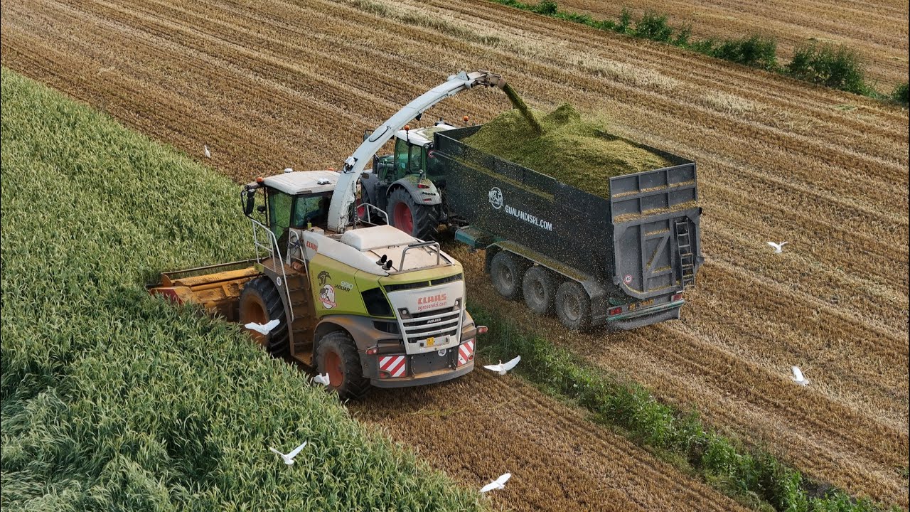 | Claas Jaguar 990 | X6 Dumper | Fendt 942 & Deutz Fahr 8000 |