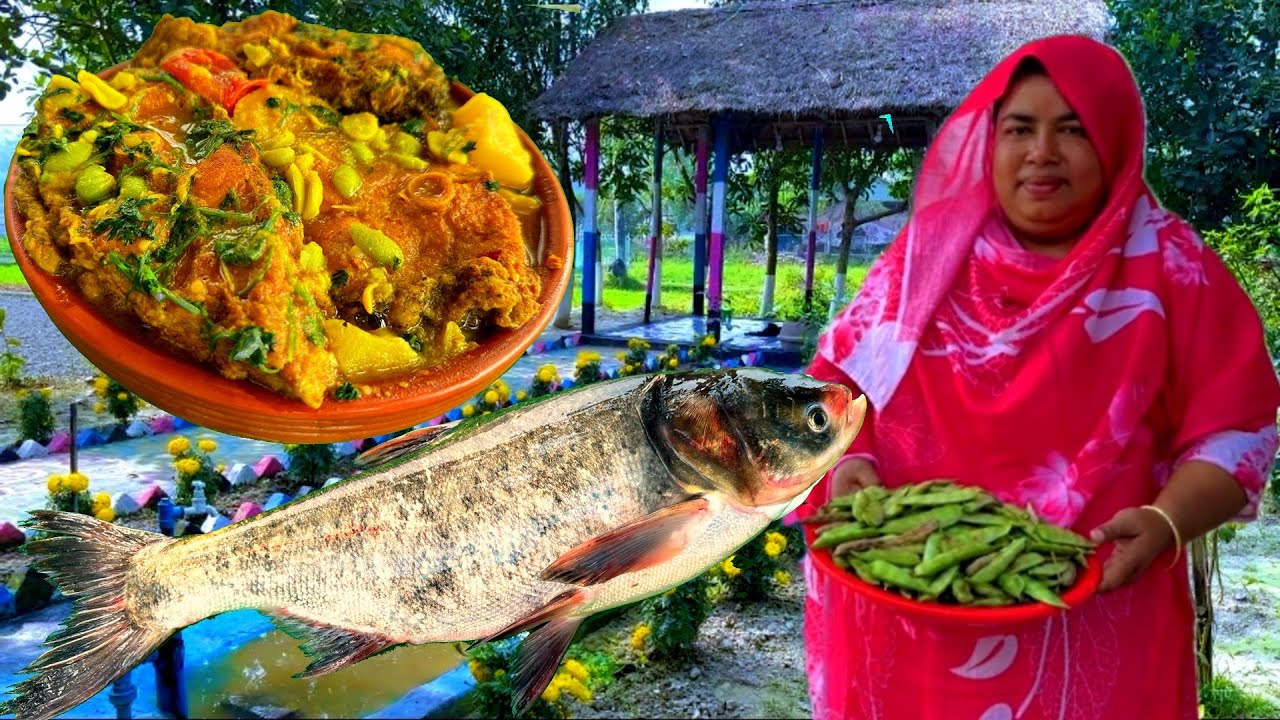 বড় বিকেট মাছ গাছের সিমের বিচি দিয়ে রান্না | Big Biket Fish with Beans Seeds Recipe