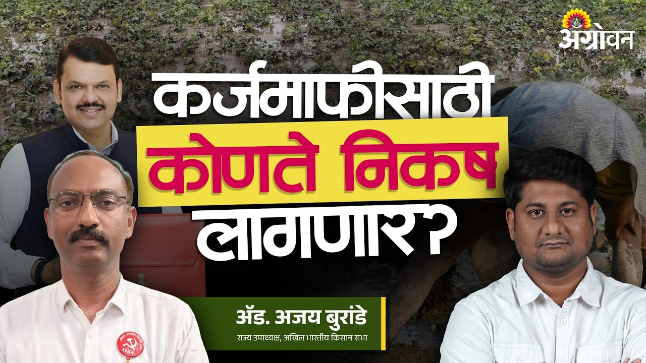 Farmers Loan Waiver: कर्जमाफीसाठी समिती कोणते निकष सुचवणार? | Agrowon