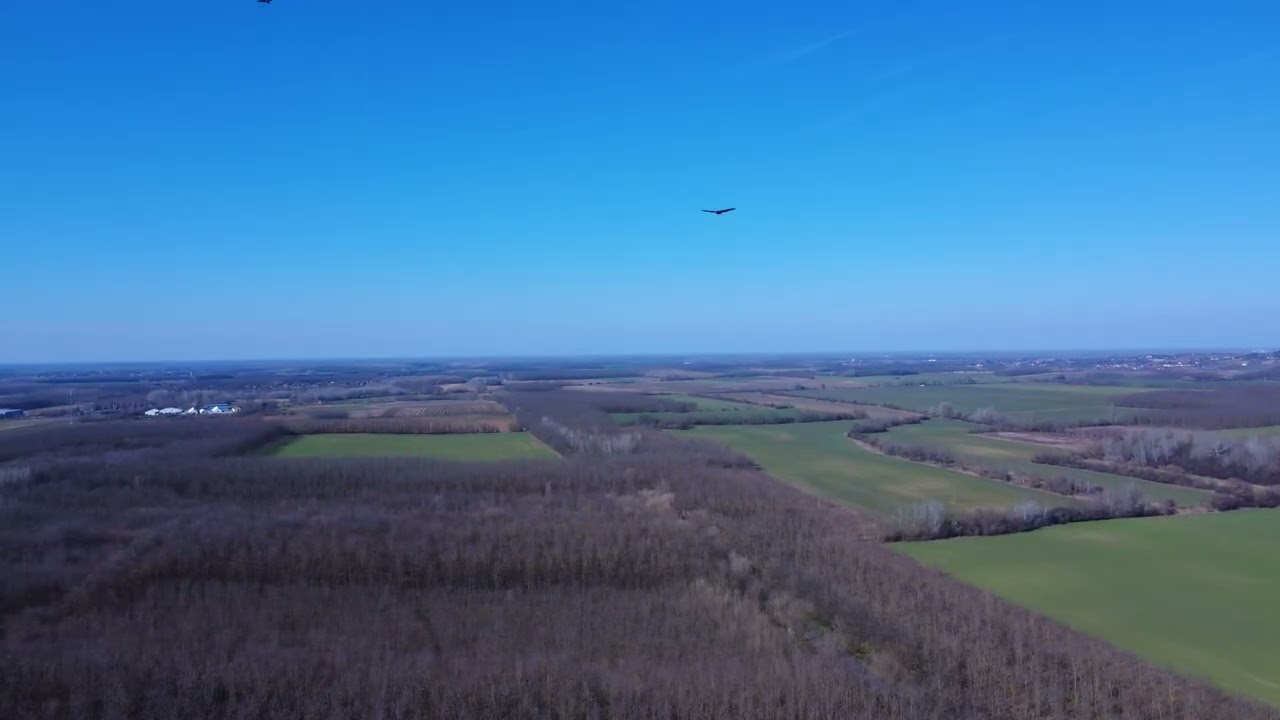 DJI 0261