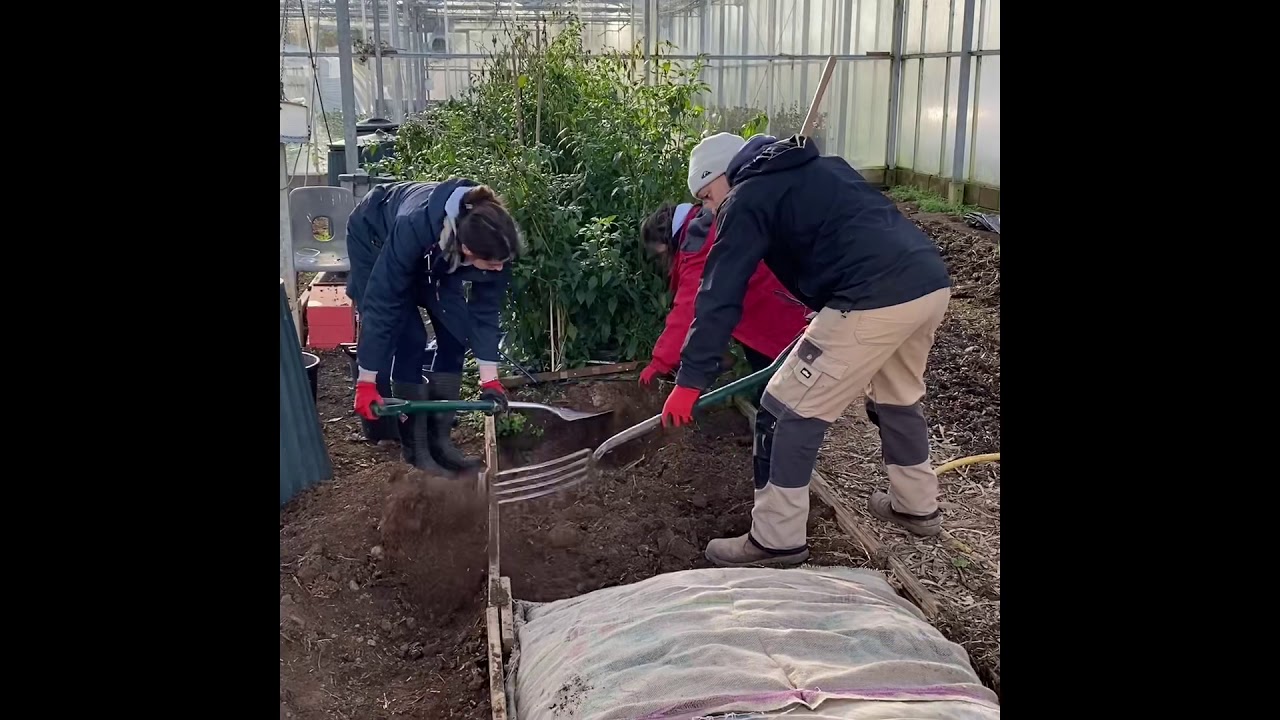 Horticulture- Victorian Hot Bed