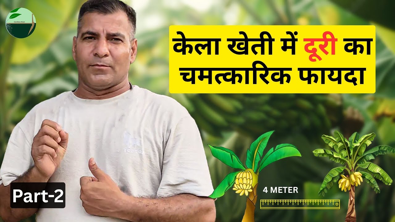 1472-Kisan karyashala: केले के पौधे को लगाने की सही दूरी, और आत्मनिर्भर किसान कैसे बने #bananafarm