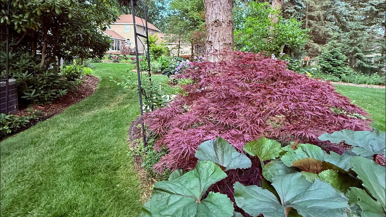 August, 2024 Pre Garden Tour Walkthrough